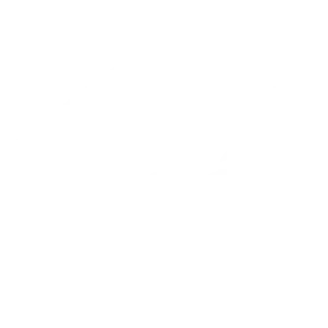 Best-Care-Solutions-iconW1